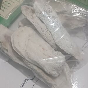 Natural White Oyster Shells - Decorative Beach Finds